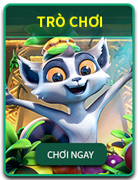 cwin 6